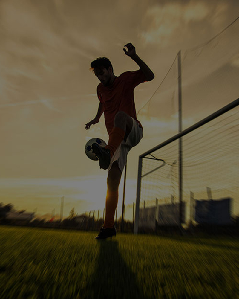 Modernist Visual Identity